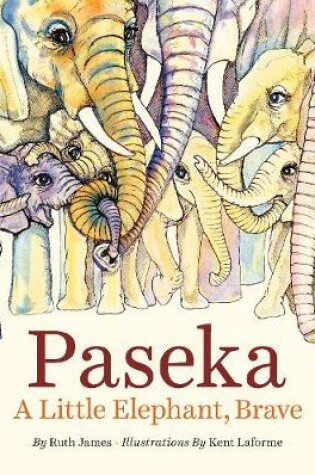 Cover of Paseka