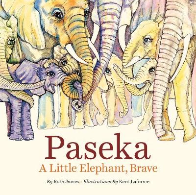 Book cover for Paseka