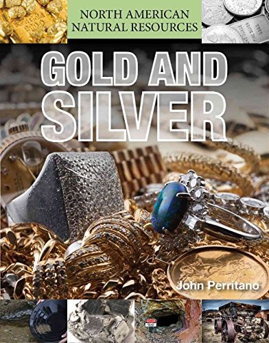 Book cover for Gold and Silver