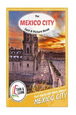 Book cover for The Mexico City Fact and Picture Book