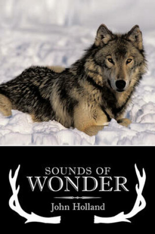 Cover of Sounds of Wonder