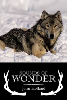 Book cover for Sounds of Wonder