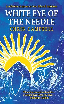 Book cover for White Eye of the Needle