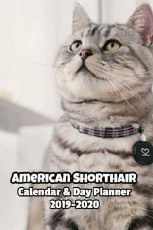 Cover of American Shorthair Calendar & Day Planner 2019-2020