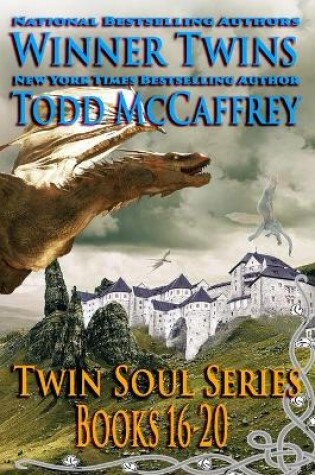 Cover of Twin Soul Series Omnibus 4
