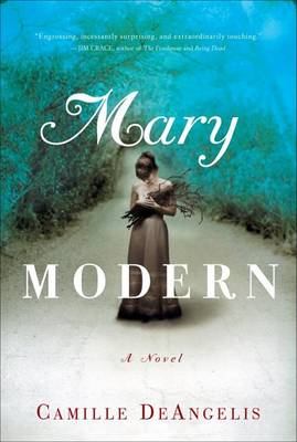 Book cover for Mary Modern