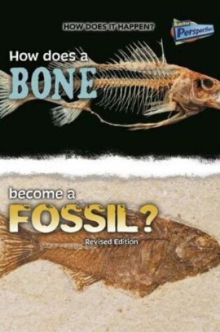 Cover of How Does a Bone Become a Fossil? (How Does it Happen)