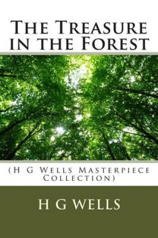 Cover of The Treasure in the Forest