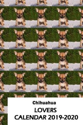 Book cover for Chihuahua Lovers Calendar 2019-2020