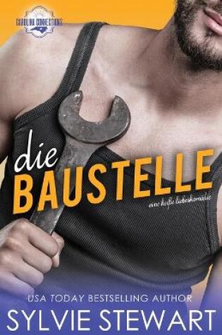 Cover of Die Baustelle