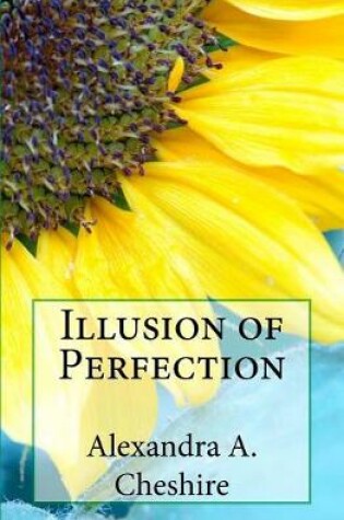 Cover of Illusion of Perfection