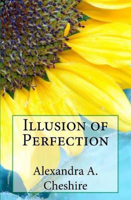 Book cover for Illusion of Perfection