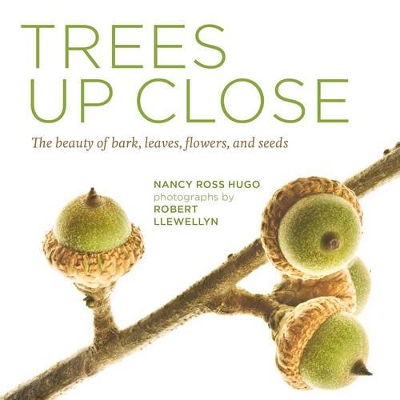 Book cover for Trees Up Close: The Beauty of Bark, Leaves, Flowers, and Seeds