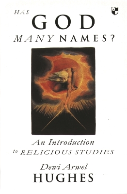 Book cover for Has God many names?