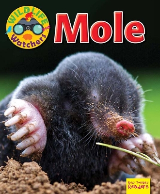 Cover of Wildlife Watchers: Mole