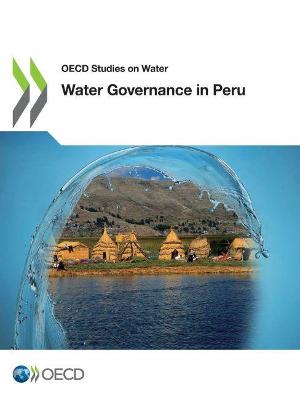 Book cover for Water Governance in Peru