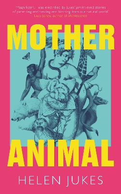 Book cover for Mother Animal