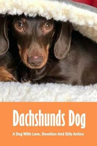 Cover of Dachshunds Dog