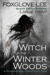 Book cover for The Witch of the Winter Woods