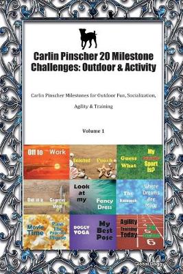 Book cover for Carlin Pinscher 20 Milestone Challenges