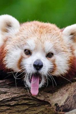 Book cover for Mind Blowing Cute Little Red Panda Yawning 150 Page lined journal