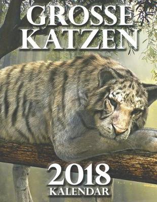 Book cover for Grosse Katzen 2018 Kalendar (Ausgabe Deutschland)