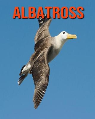 Book cover for Albatross