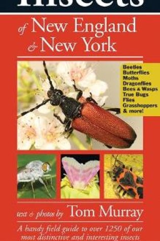 Cover of Insects of New England & New York