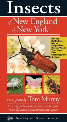 Book cover for Insects of New England & New York
