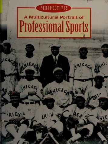 Book cover for A Multicultural Portrait of Professional Sports