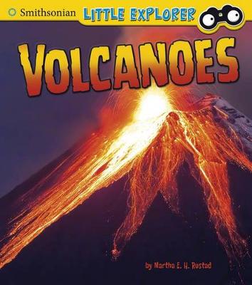 Book cover for Volcanoes (Little Scientist)