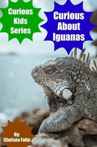 Cover of Curious About Iguanas