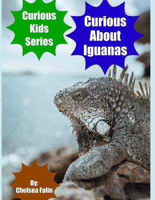 Book cover for Curious About Iguanas