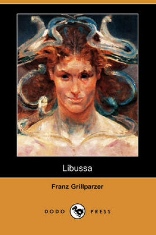 Cover of Libussa (Dodo Press)