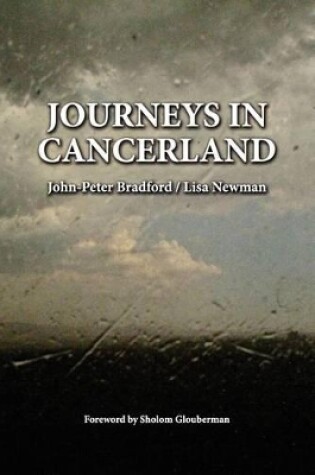 Cover of Journeys in Cancerland