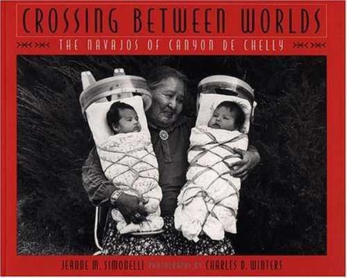 Book cover for Crossing Between Worlds