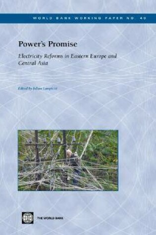 Cover of Power's Promise