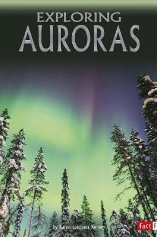 Cover of Discover the Night Sky Exploring Auroras