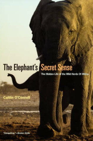 Cover of The Elephant`s Secret Sense – The Hidden Life of the Wild Herds of Africa