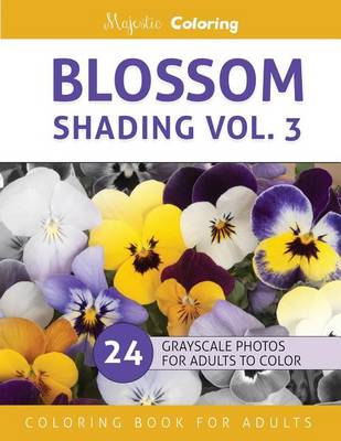 Book cover for Blossom Shading Vol. 3