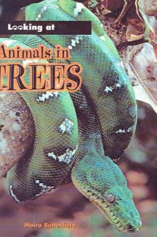 Cover of Animals in Trees