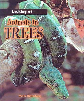 Book cover for Animals in Trees