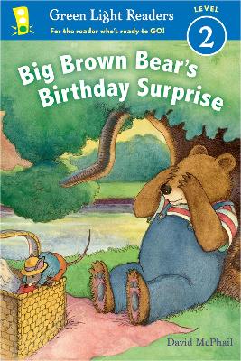 Book cover for Big Brown Bear's Birthday Surprise (GLR Level 2)