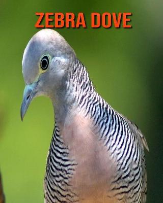 Book cover for Zebra Dove