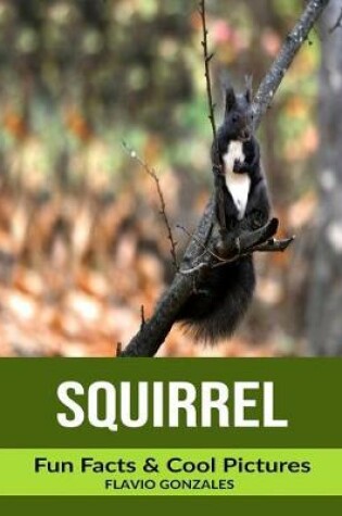 Cover of Squirrel