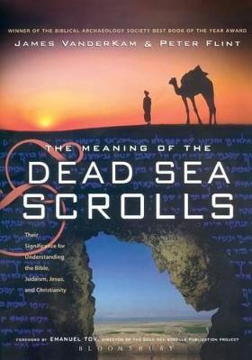 Book cover for The Meaning of the Dead Sea Scrolls