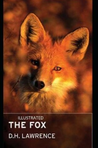 Cover of The Fox Illustrated