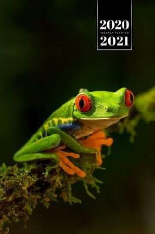Cover of Frog Toad Week Planner Weekly Organizer Calendar 2020 / 2021 - Red Eyed