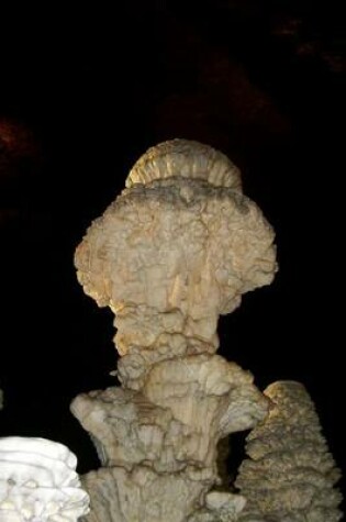 Cover of Broccoli Shaped Stalagmite in a French Cave