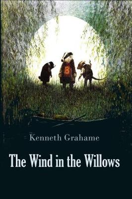 Book cover for The Wind in the Willows (Illustrated)